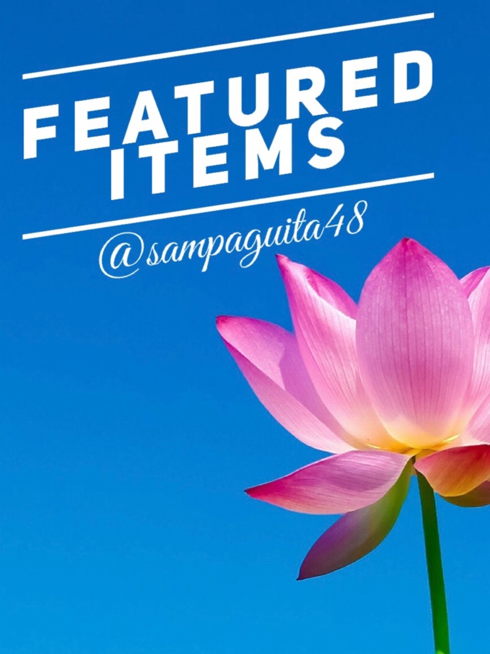 Featured Items of the Week